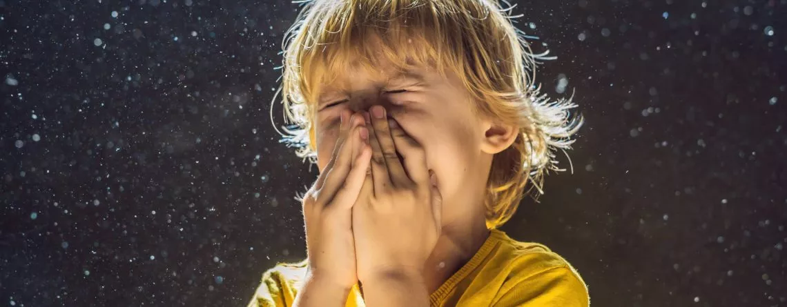 Garçon éternue parce qu’il est allergique à la poussière